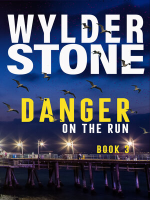 cover image of Danger on the Run